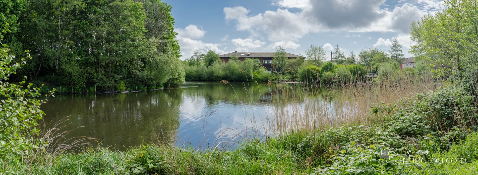 Perton village pond surrounded by trees